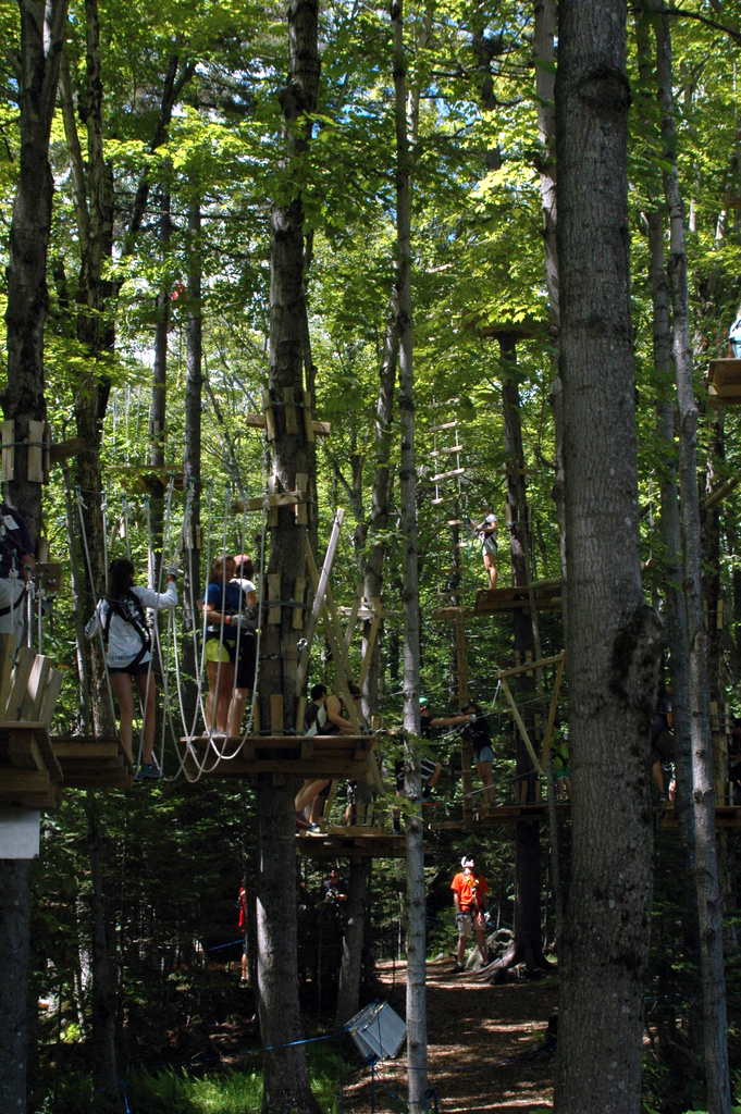 DSC_0218.JPG DSC_0218.JPG