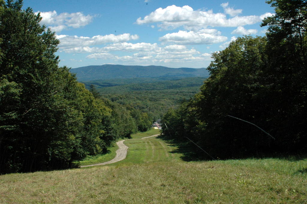 DSC_0221.JPG DSC_0221.JPG