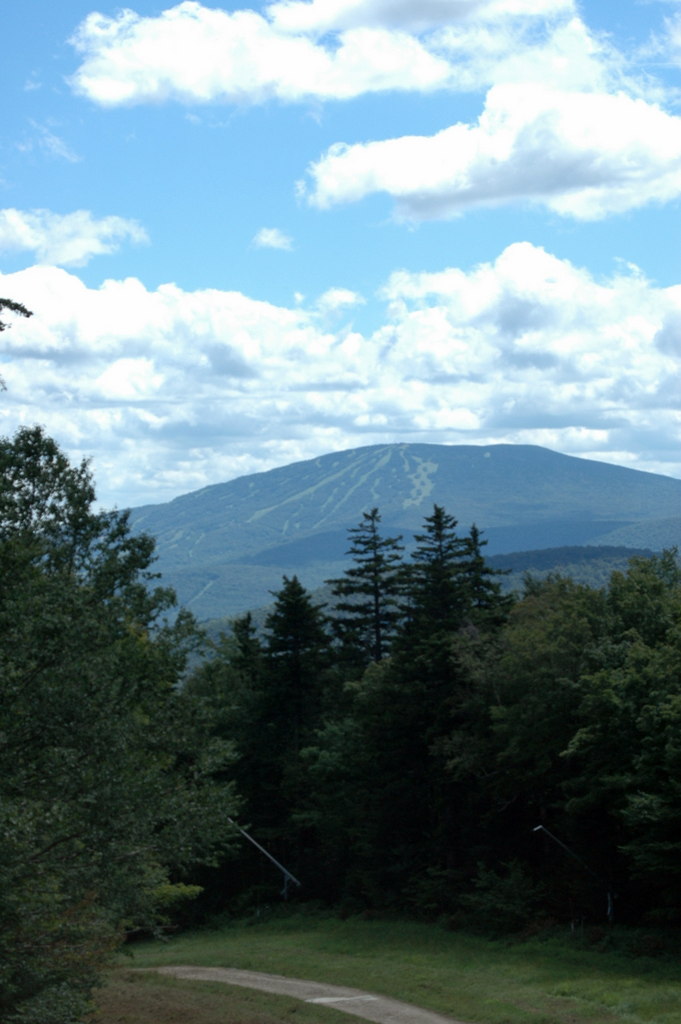 DSC_0230.JPG DSC_0230.JPG