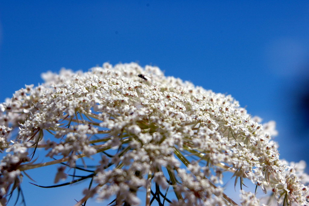 DSC_0246.JPG DSC_0246.JPG