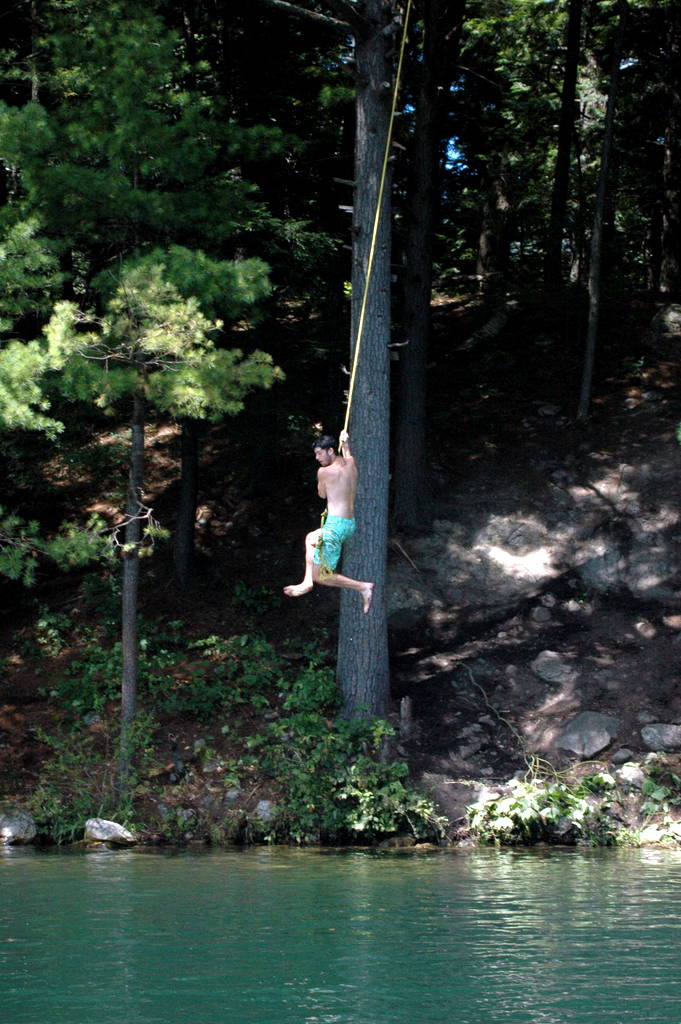 DSC_0393.JPG DSC_0393.JPG